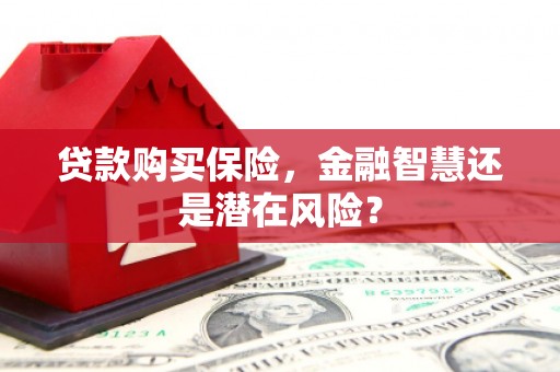 清流贷款购买保险，金融智慧还是潜在风险？