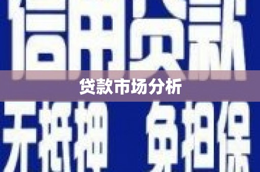 清流贷款市场分析