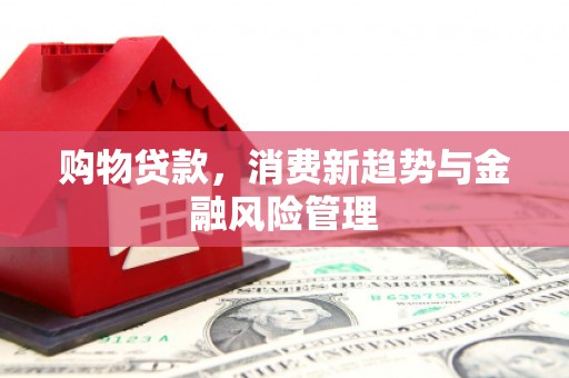 清流购物贷款，消费新趋势与金融风险管理
