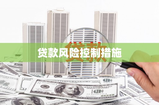 清流贷款风险控制措施