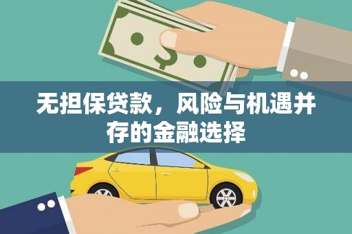 清流无担保贷款，风险与机遇并存的金融选择