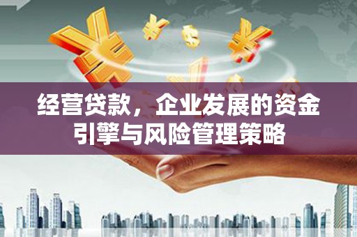 清流经营贷款，企业发展的资金引擎与风险管理策略