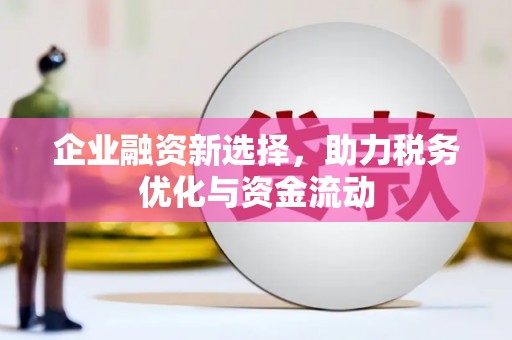清流企业融资新选择，助力税务优化与资金流动