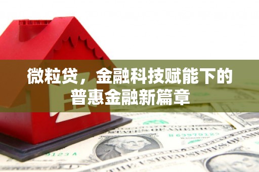 清流微粒贷，金融科技赋能下的普惠金融新篇章