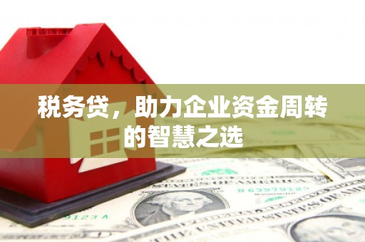 清流税务贷，助力企业资金周转的智慧之选