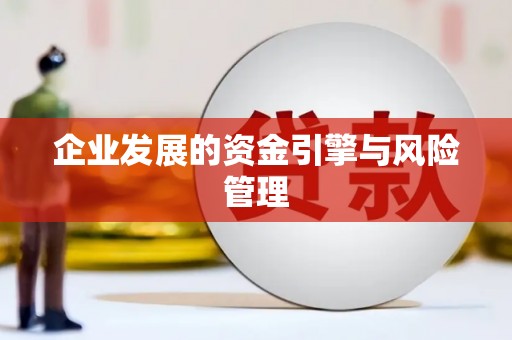 清流企业发展的资金引擎与风险管理