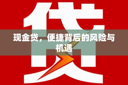 清流现金贷，便捷背后的风险与机遇