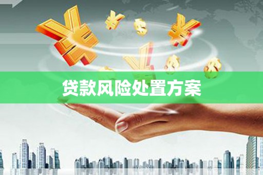 清流贷款风险处置方案