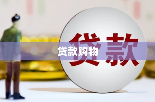 清流贷款购物