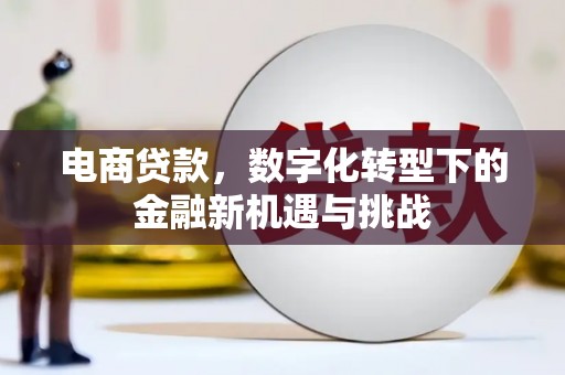 清流电商贷款，数字化转型下的金融新机遇与挑战