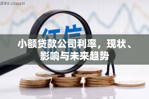 清流小额贷款公司利率，现状、影响与未来趋势