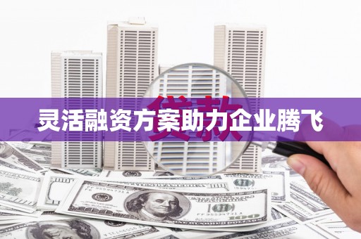 清流灵活融资方案助力企业腾飞
