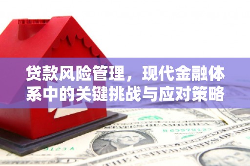 清流贷款风险管理，现代金融体系中的关键挑战与应对策略