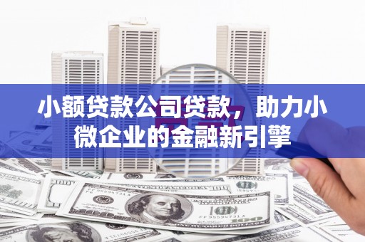 清流小额贷款公司贷款，助力小微企业的金融新引擎