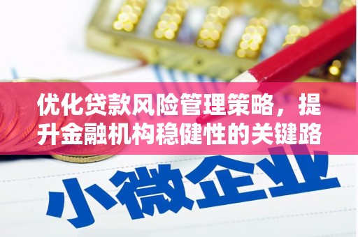 清流优化贷款风险管理策略，提升金融机构稳健性的关键路径