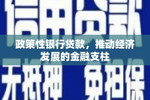 清流政策性银行贷款，推动经济发展的金融支柱