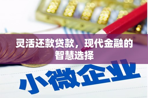 清流灵活还款贷款，现代金融的智慧选择
