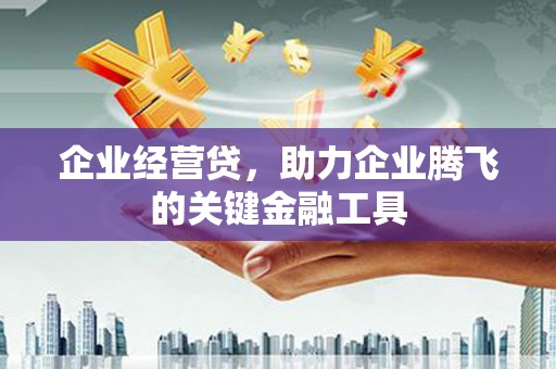 清流企业经营贷，助力企业腾飞的关键金融工具