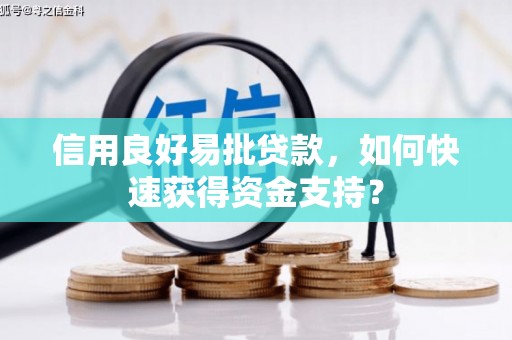 清流信用良好易批贷款，如何快速获得资金支持？