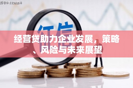 清流经营贷助力企业发展，策略、风险与未来展望