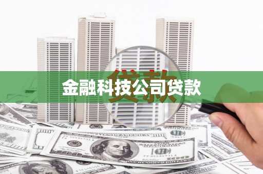清流金融科技公司贷款