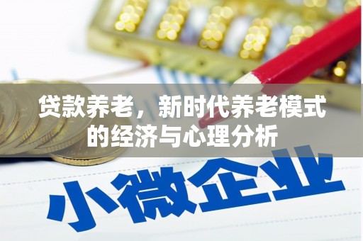 清流贷款养老，新时代养老模式的经济与心理分析
