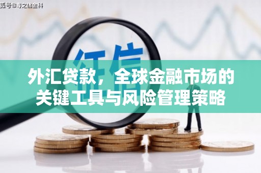 清流外汇贷款，全球金融市场的关键工具与风险管理策略