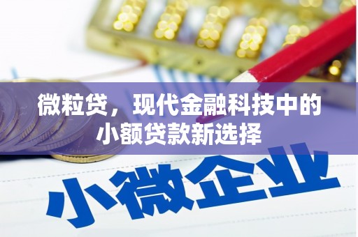 清流微粒贷，现代金融科技中的小额贷款新选择