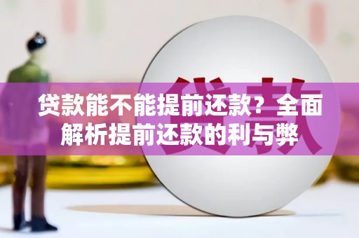 清流贷款能不能提前还款？全面解析提前还款的利与弊