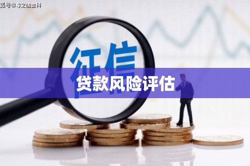 清流贷款风险评估