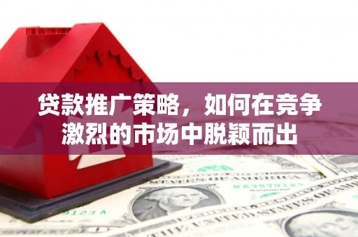 清流贷款推广策略，如何在竞争激烈的市场中脱颖而出