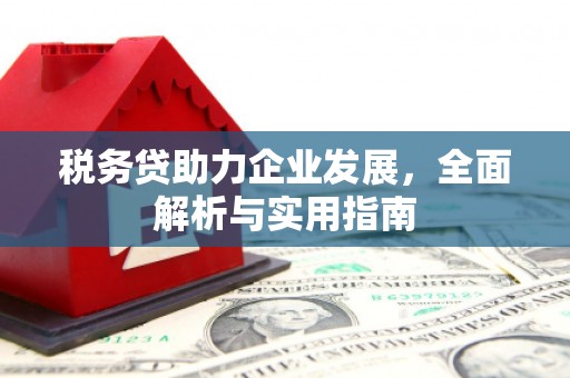 清流税务贷助力企业发展，全面解析与实用指南
