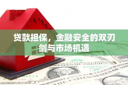 清流贷款担保，金融安全的双刃剑与市场机遇