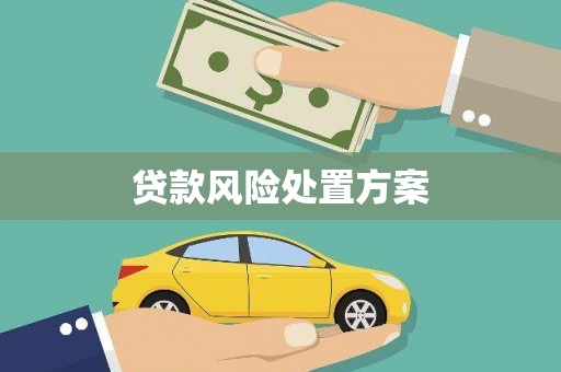清流贷款风险处置方案