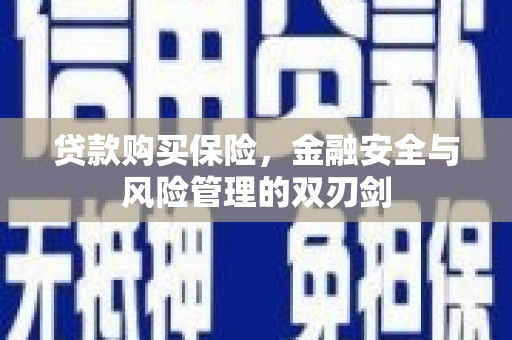 清流贷款购买保险，金融安全与风险管理的双刃剑