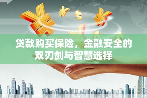 清流贷款购买保险，金融安全的双刃剑与智慧选择