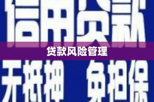 清流贷款风险管理