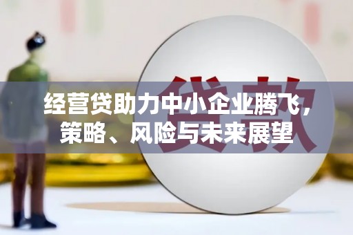 清流经营贷助力中小企业腾飞，策略、风险与未来展望