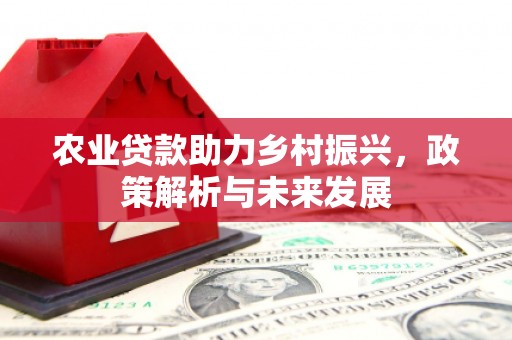 清流农业贷款助力乡村振兴，政策解析与未来发展