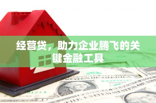 清流经营贷，助力企业腾飞的关键金融工具