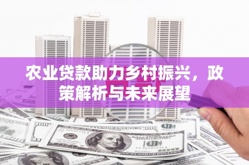 清流农业贷款助力乡村振兴，政策解析与未来展望