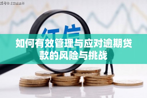 清流如何有效管理与应对逾期贷款的风险与挑战