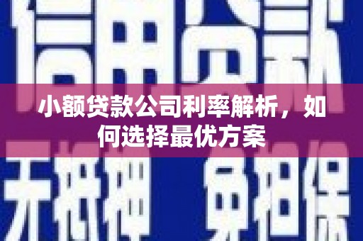 清流小额贷款公司利率解析，如何选择最优方案