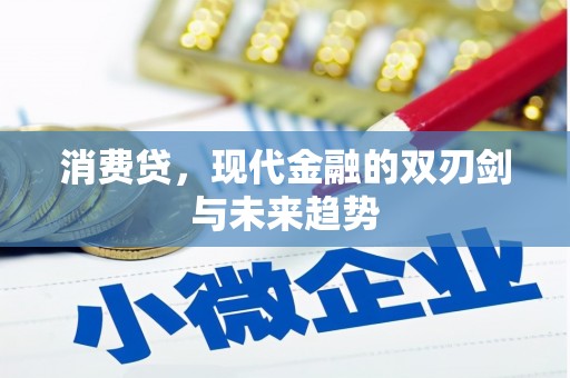 清流消费贷，现代金融的双刃剑与未来趋势