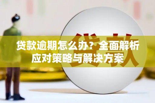 清流贷款逾期怎么办？全面解析应对策略与解决方案