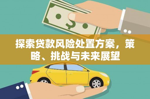 清流探索贷款风险处置方案，策略、挑战与未来展望