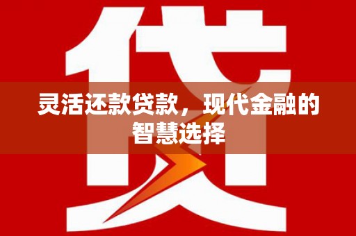 清流灵活还款贷款，现代金融的智慧选择