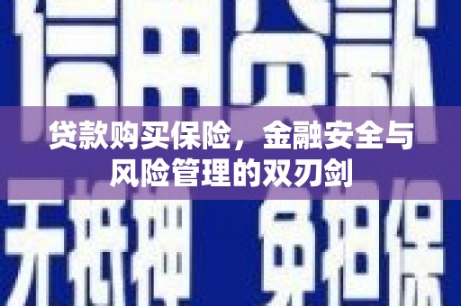 清流贷款购买保险，金融安全与风险管理的双刃剑