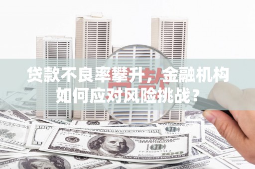 清流贷款不良率攀升，金融机构如何应对风险挑战？