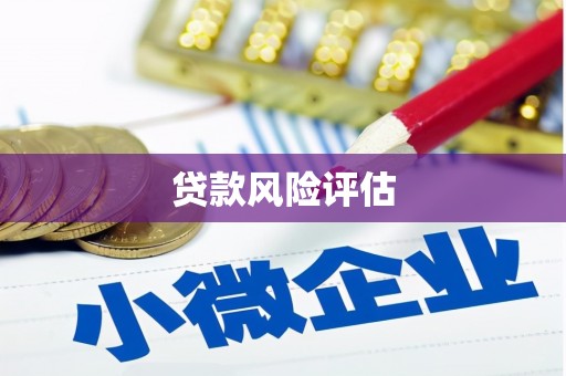 清流贷款风险评估